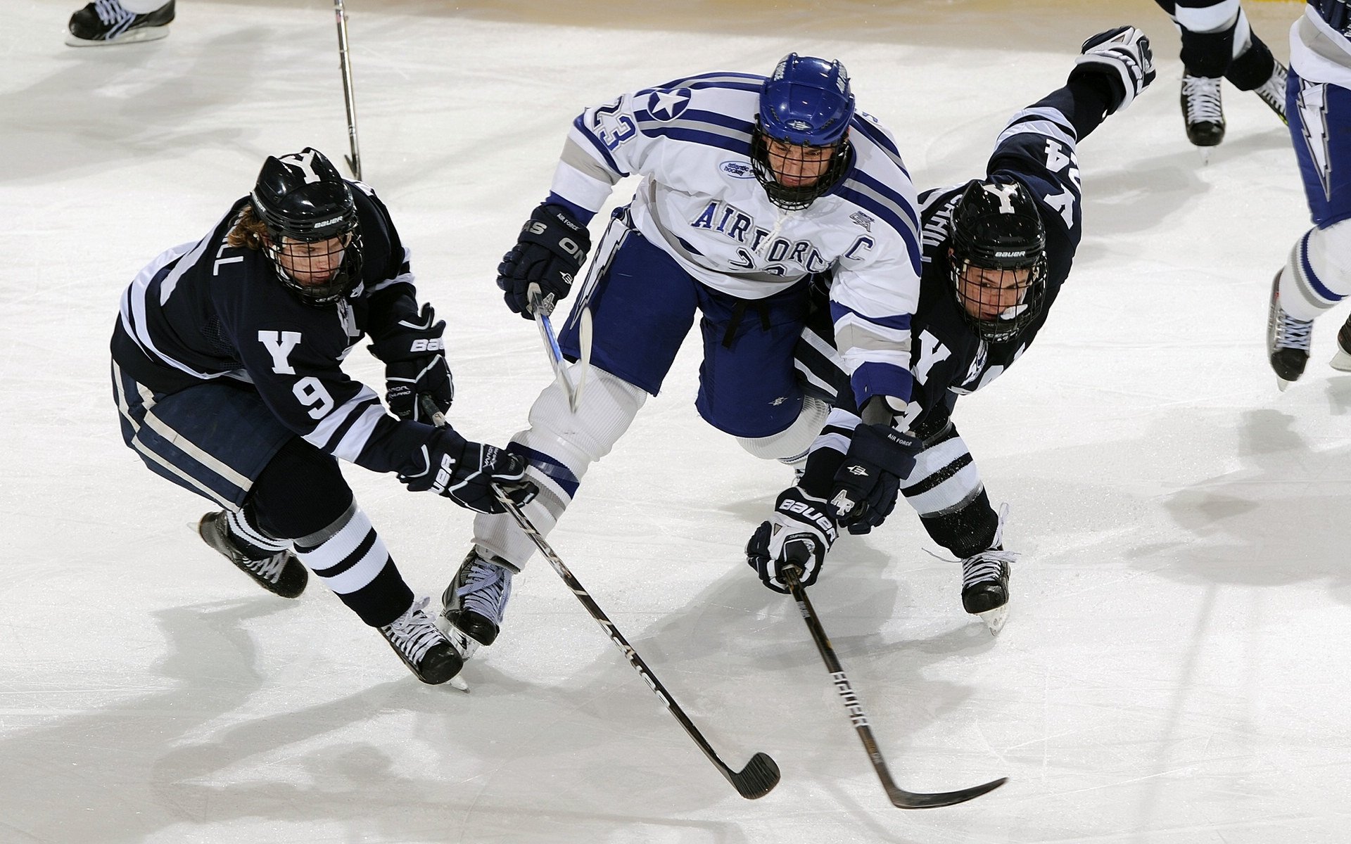 AIYOUXI.COM-国际游泳锦标赛记录屡创新高，2021国际游泳锦标赛